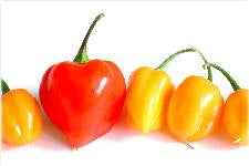 Scoville Units and What they Mean in BBQ